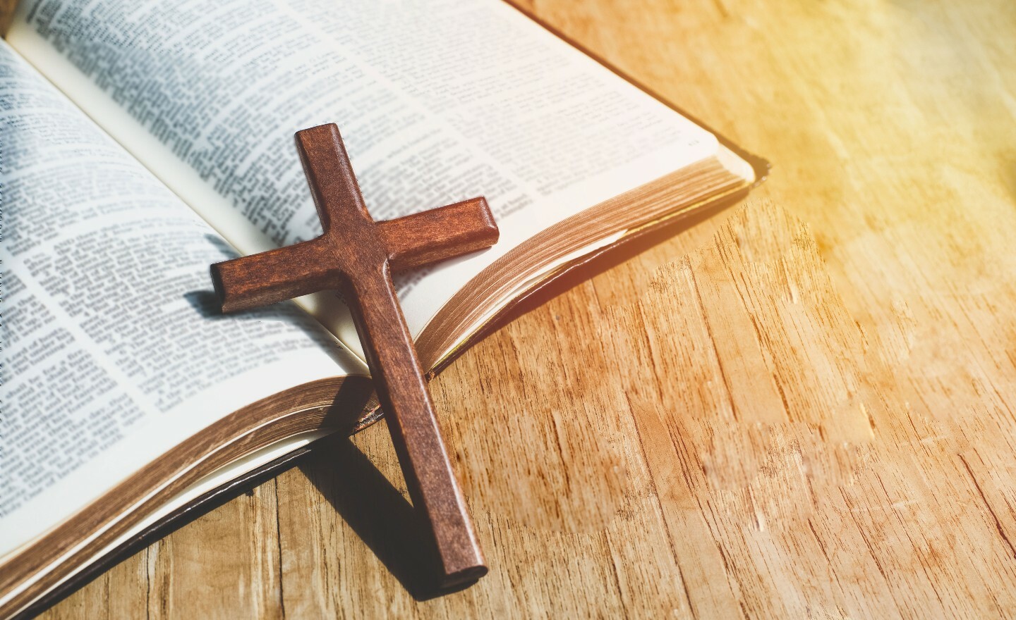 Origin of the Bible hero image